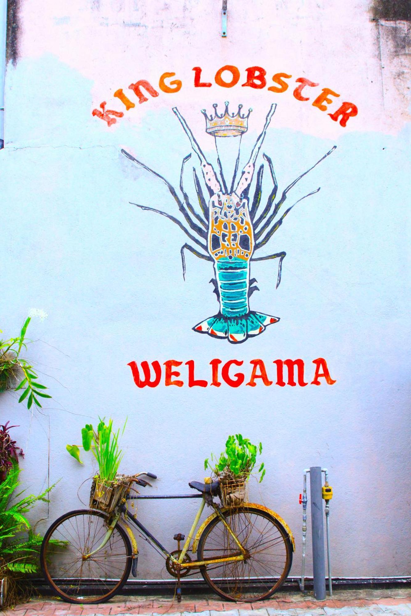 7Elements - Boutique Hotel & Restaurant Weligama Dış mekan fotoğraf
